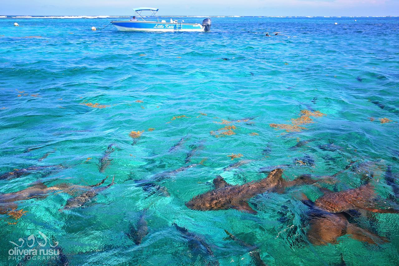 Cayo Espanto San Pedro  Esterno foto