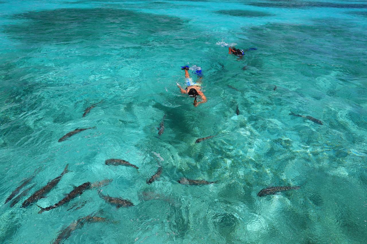 Cayo Espanto San Pedro  Esterno foto